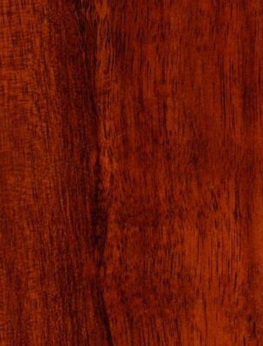 Brazilian Cherry