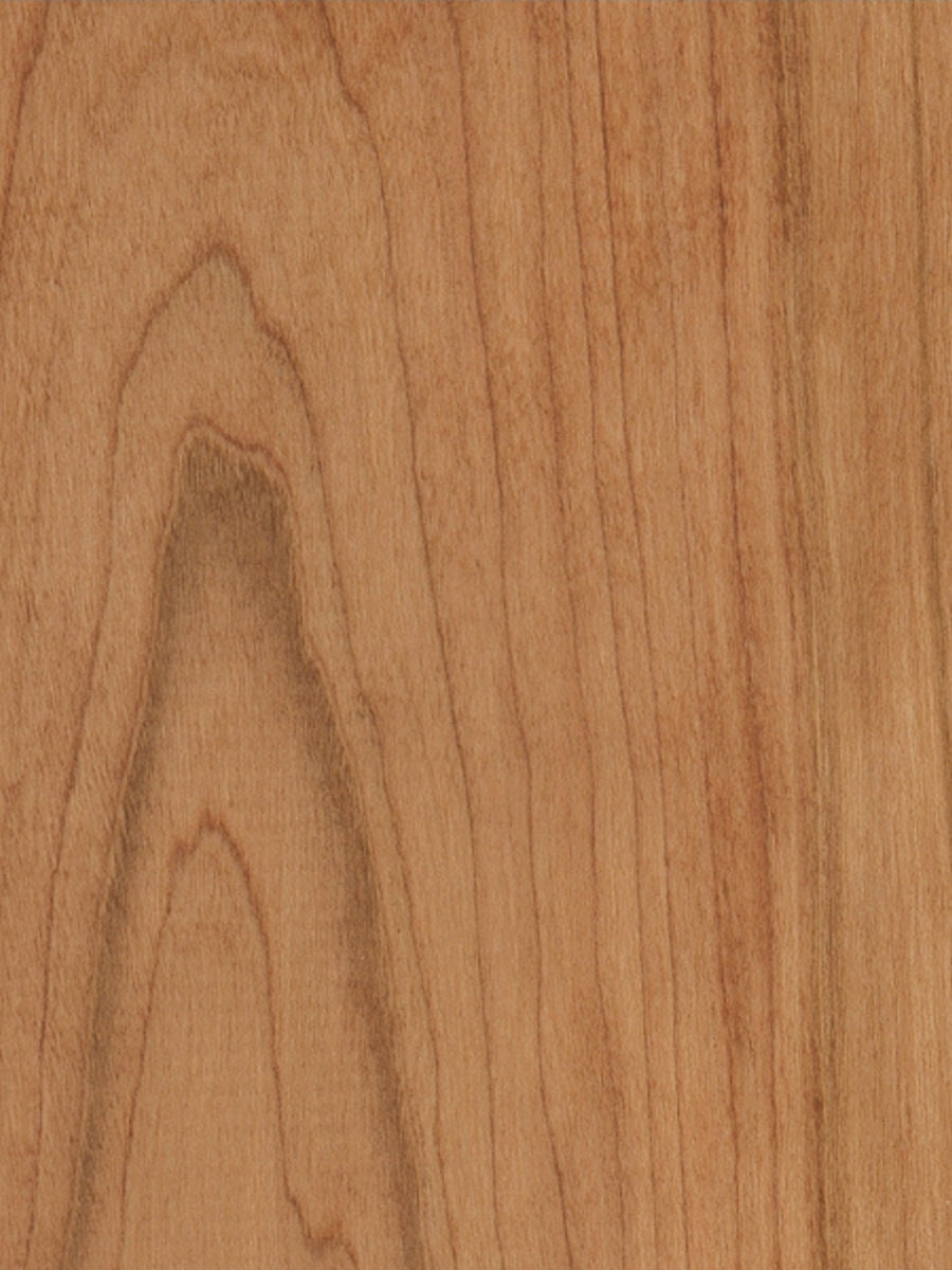 Alder