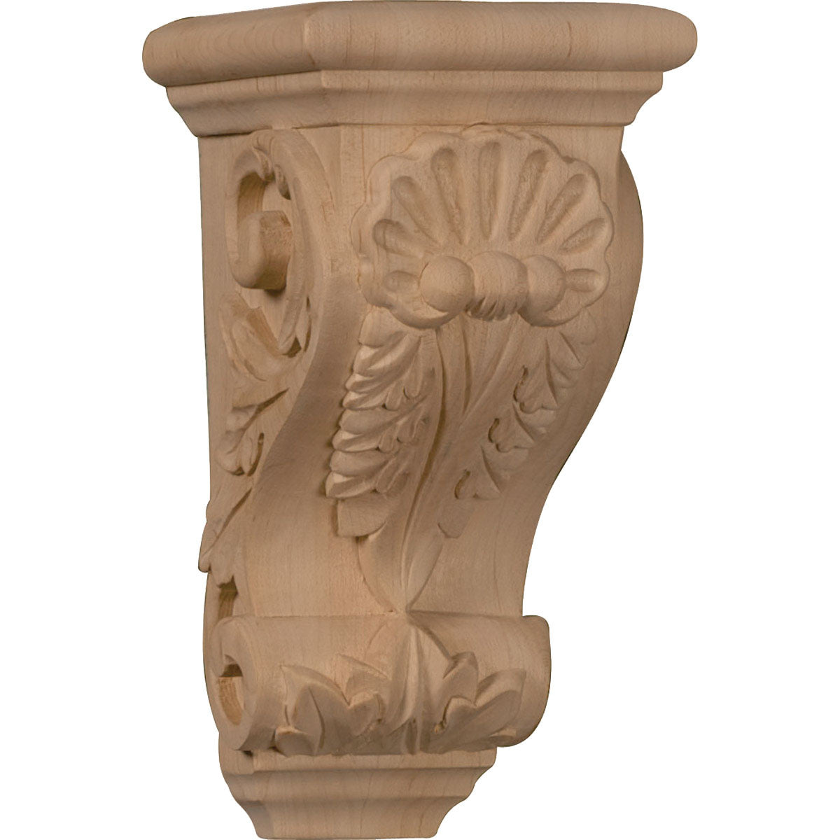Shell Corbel, Small (CORW03X04X07SH)