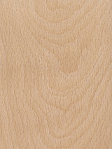 BEECH