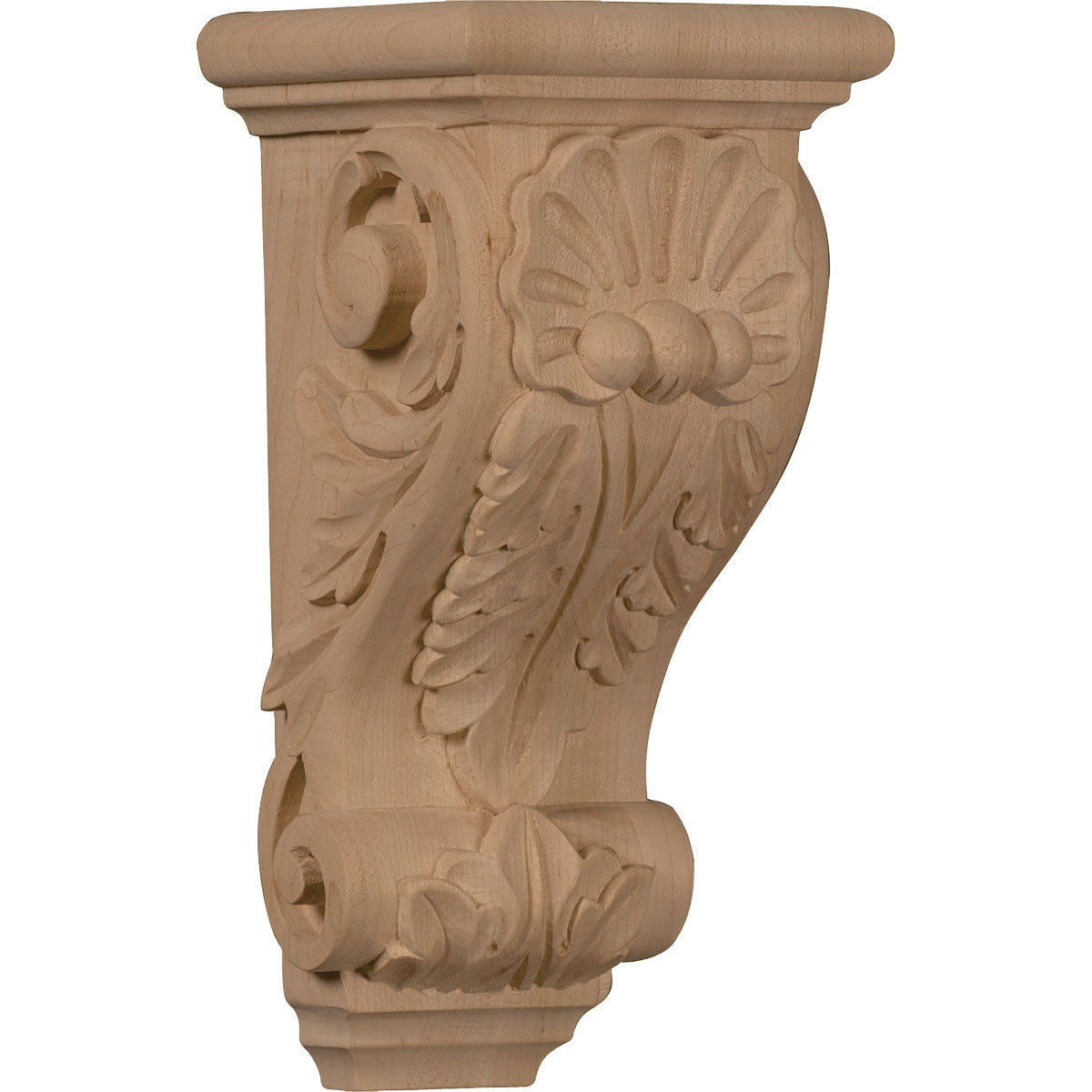 Shell Corbel, Medium (CORW04X05X10SH)