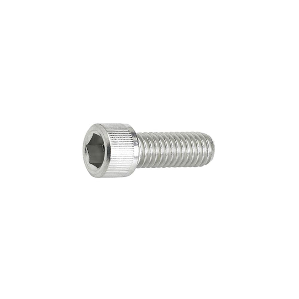 M8 x 25 mm Hardware Screw (AX00.091.255.A.SP)