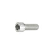 M6 x 85 Machine Screw with Socket Head (AX00.091.905.A.SP)